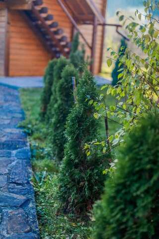 Гостевой дом Cheremshyna Микуличин Двухместный номер с 1 кроватью-5