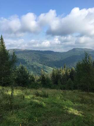 Гостевой дом Cheremshyna Микуличин-1