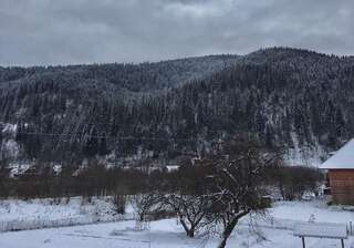 Гостевой дом Cheremshyna Микуличин-3