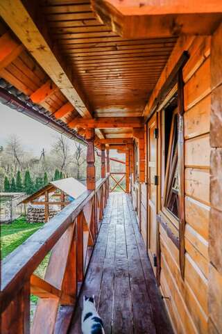 Гостевой дом Cheremshyna Микуличин Дом с 4 спальнями-4