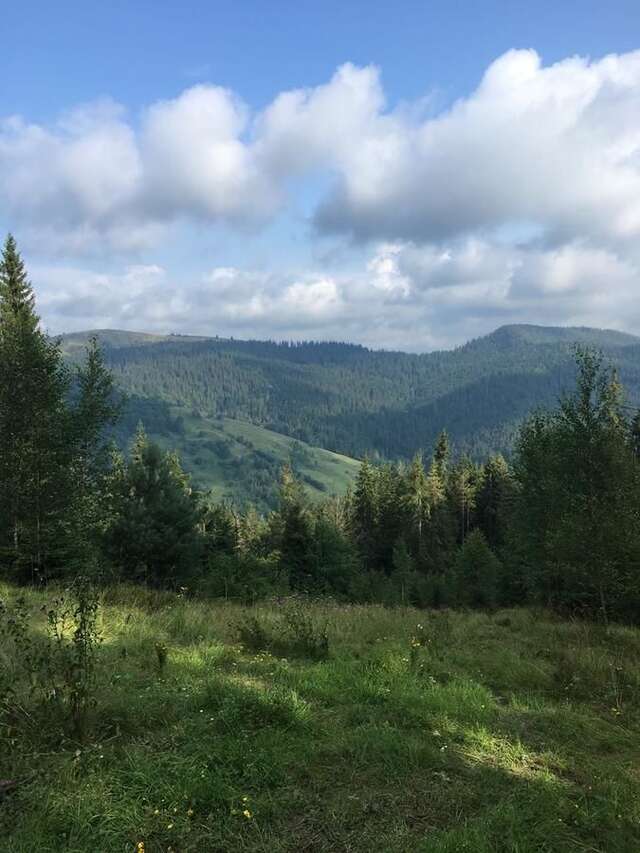 Гостевой дом Cheremshyna Микуличин-4